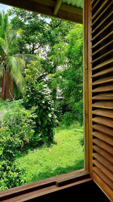 Old Bocasso Hostel Bocas del Toro Buitenkant foto